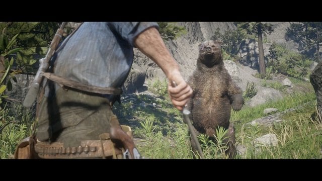 red dead redemption 2 catch the bear naguide 9