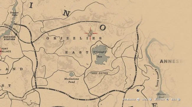 RDR2 Legendary Bharati Grizzly Bear How to Find? - naguide