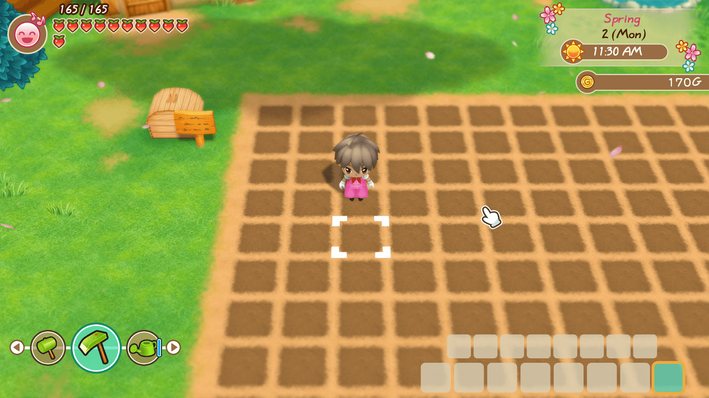 STORY OF SEASONS Friends of Mineral Town Power Berries Special Berry Location 1