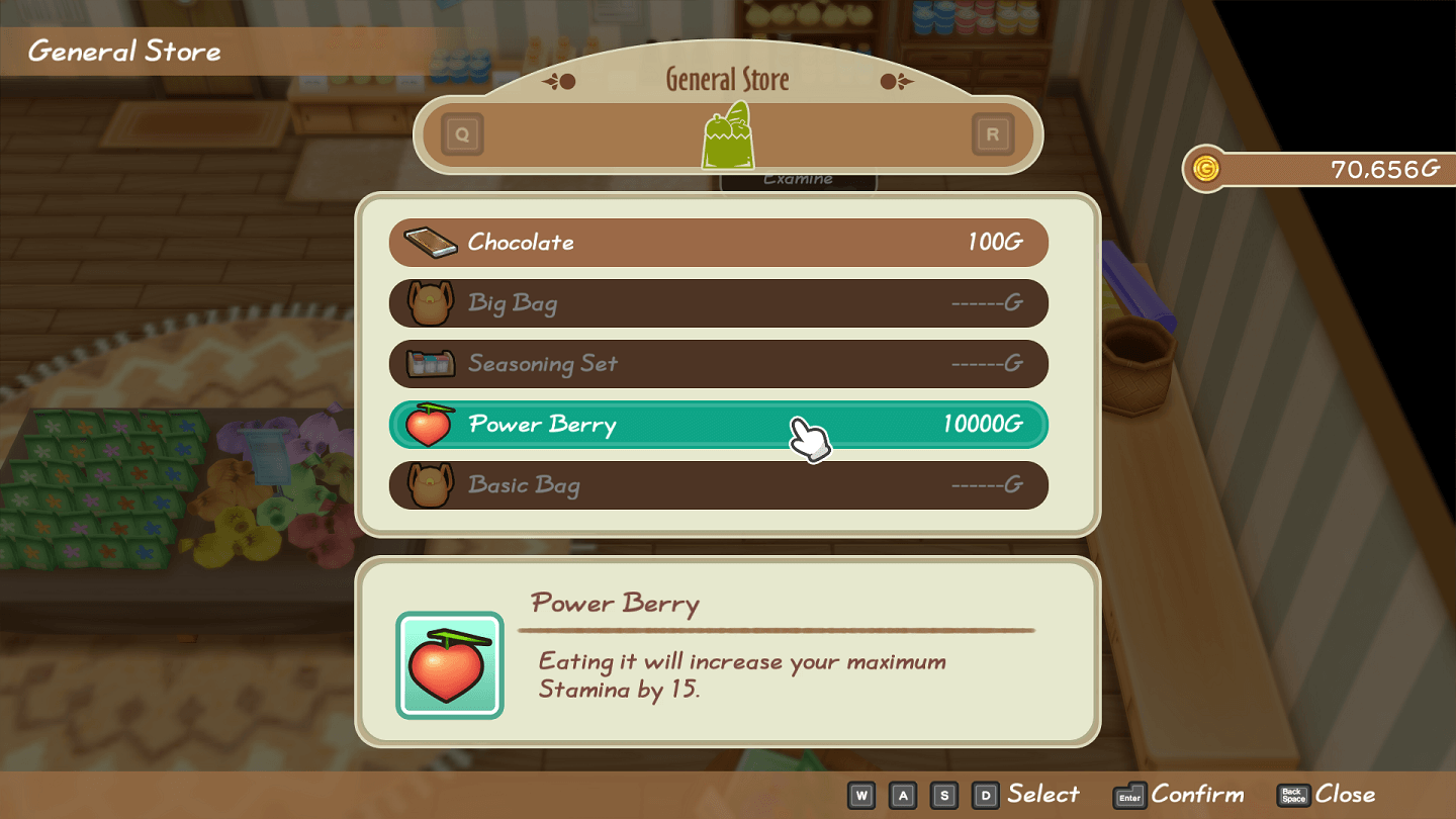 STORY OF SEASONS Friends of Mineral Town Power Berries Special Berry Location 6