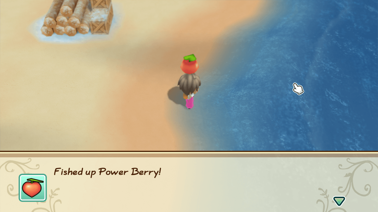 STORY OF SEASONS Friends of Mineral Town Power Berries Special Berry Location 7