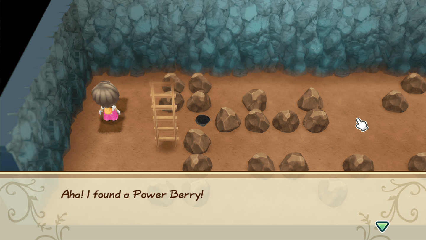 STORY OF SEASONS Friends of Mineral Town Power Berries Special Berry Location 9