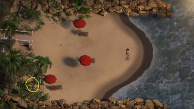 Location of Alia's 2nd Chest Key in Beach in Treasure of Nadia