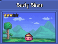 A Terrarian's Guide to Town Slimes