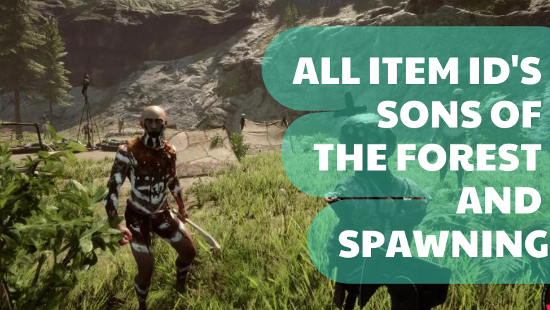 Sons of the Forest' Item IDs: How to Use Them to Spawn Infinite Resources