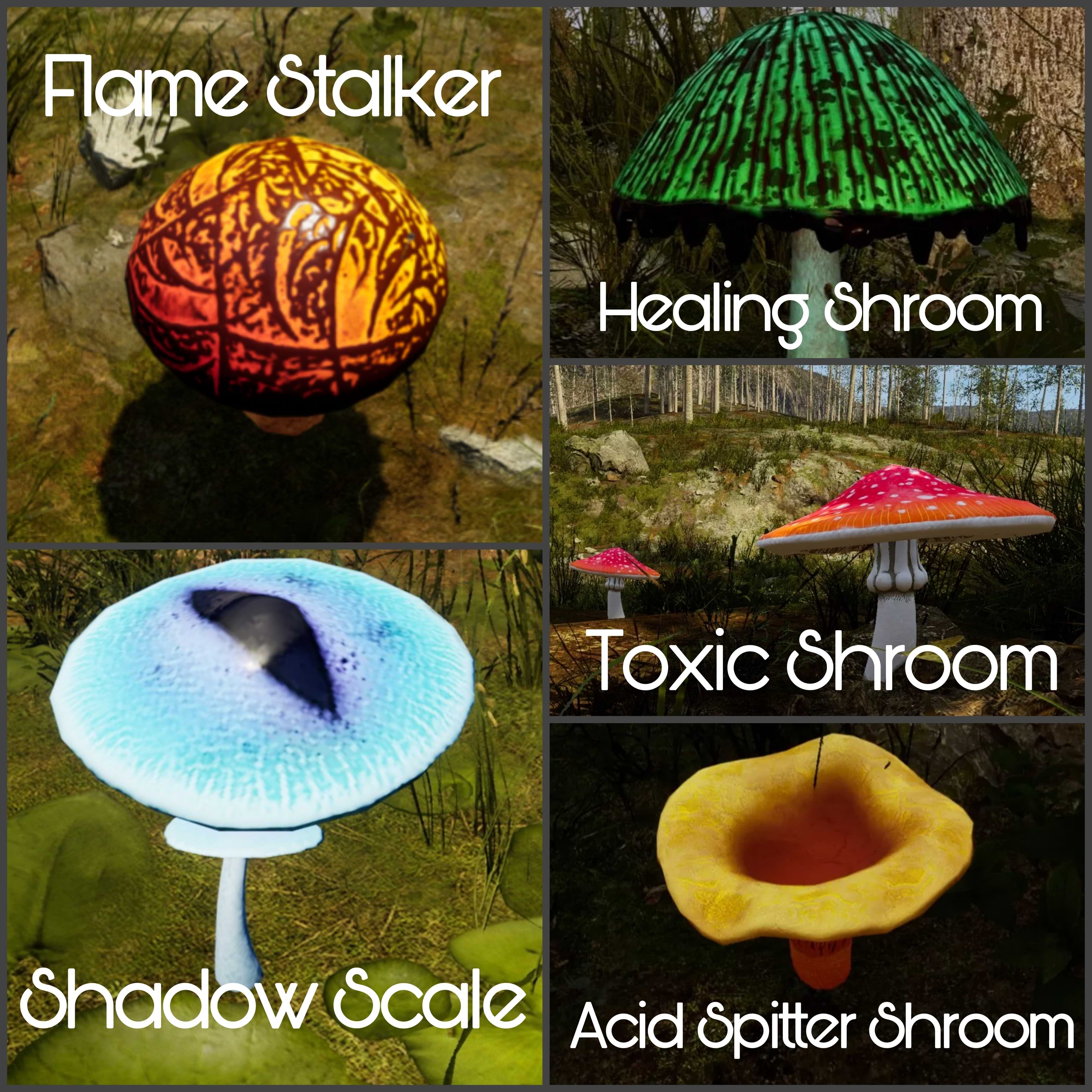 Complete Shroom Locations