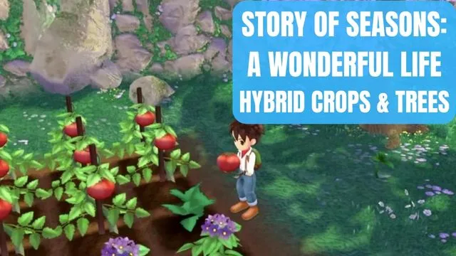 STORY OF SEASONS A Wonderful Life Hybrid Crops and Trees