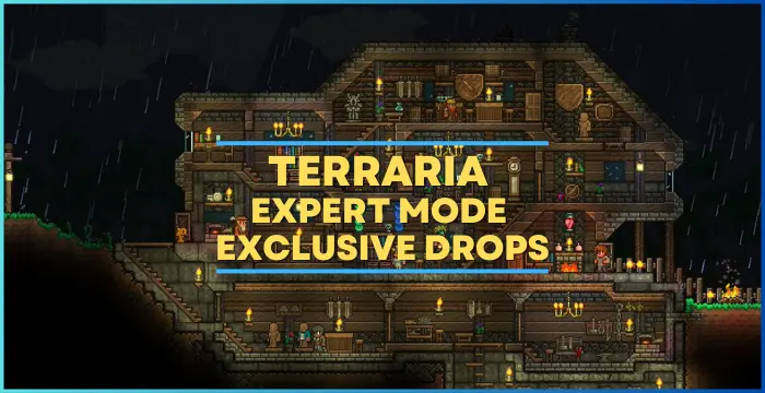 The Best Expert Mode Exclusive Drops In Terraria