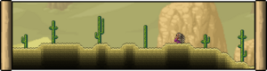 From Verdant to Arid: Journey through the Biomes of Terraria