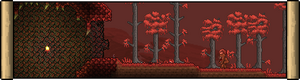 From Verdant to Arid: Journey through the Biomes of Terraria