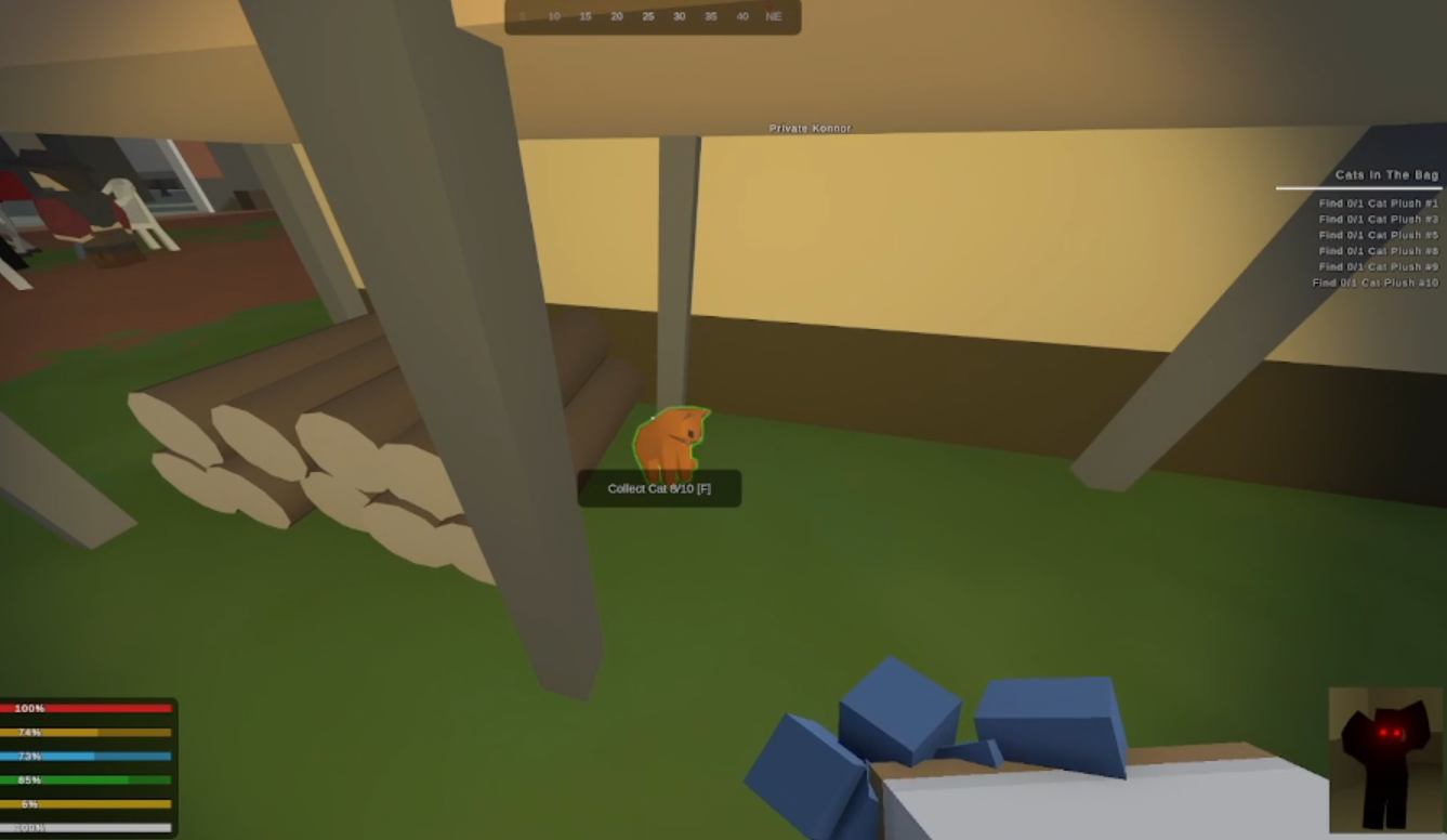 10 different Cat Plush locations in Unturned (Buak)