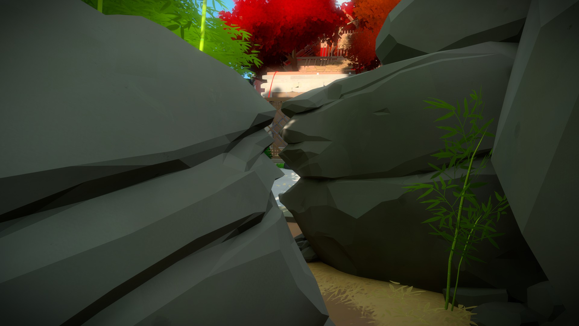 The Witness: Full Game Guide