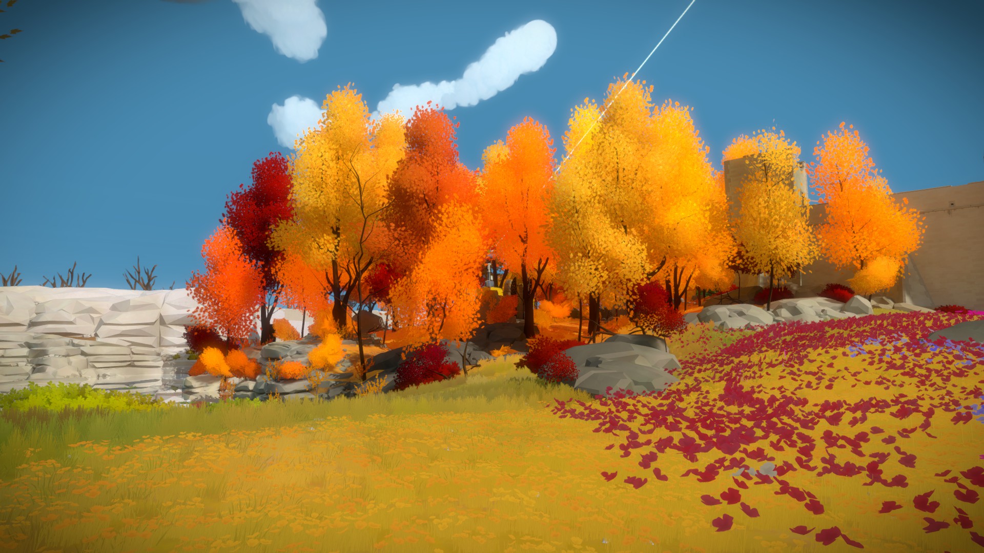 The Witness: Full Game Guide