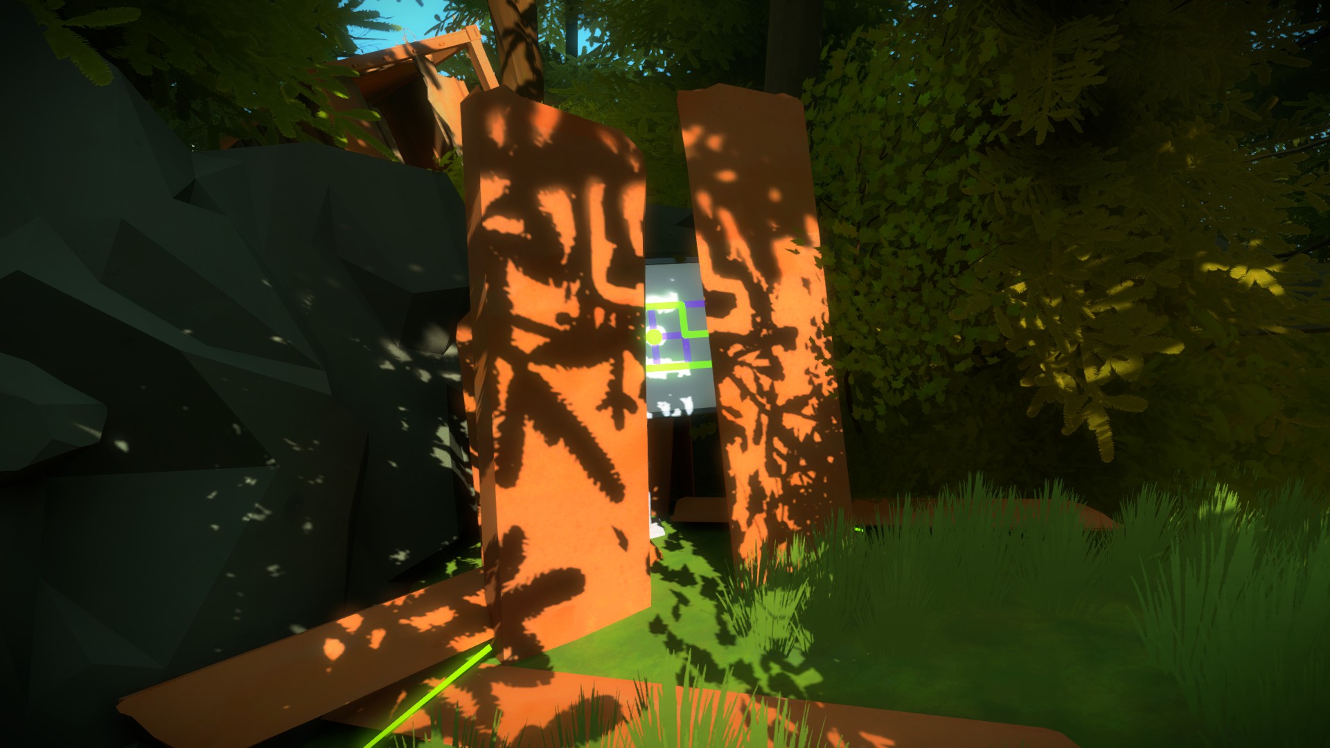 The Witness: Full Game Guide