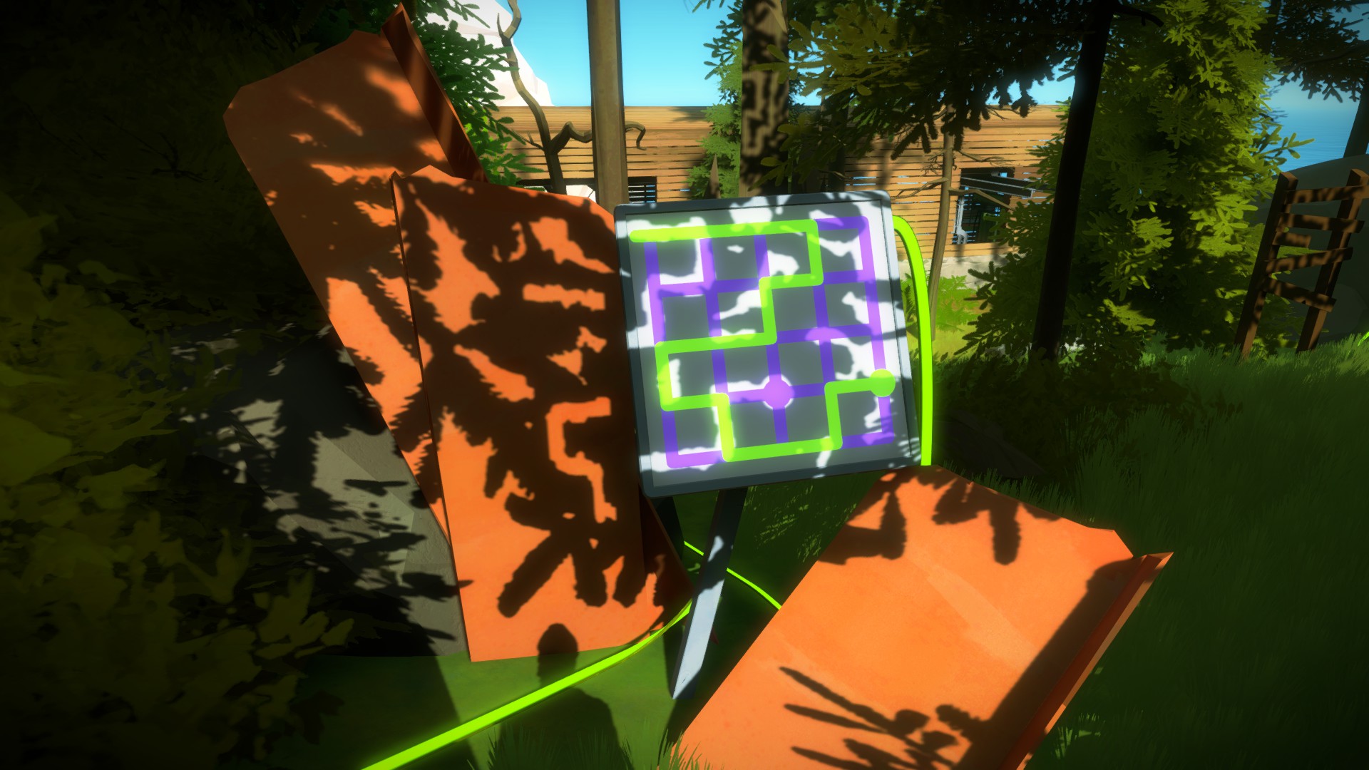 The Witness: Full Game Guide