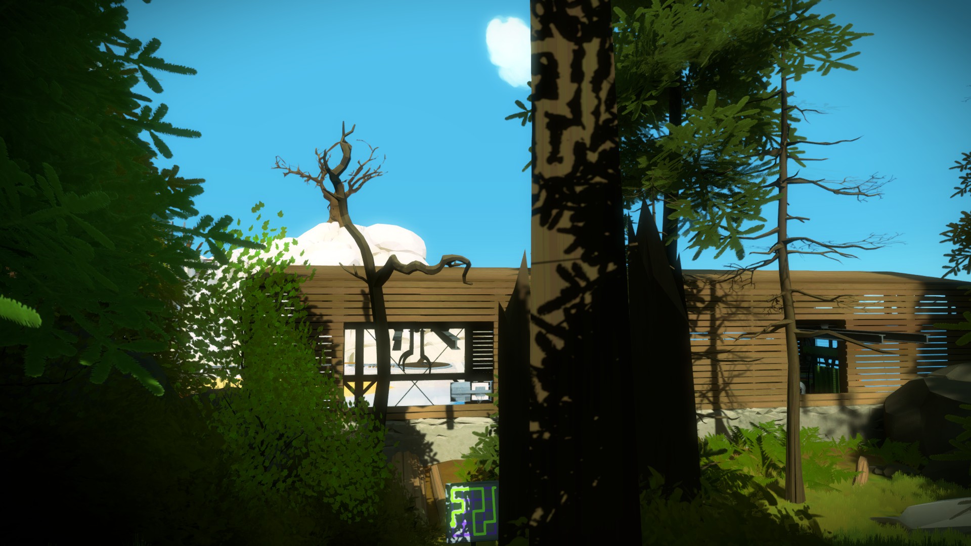 The Witness: Full Game Guide