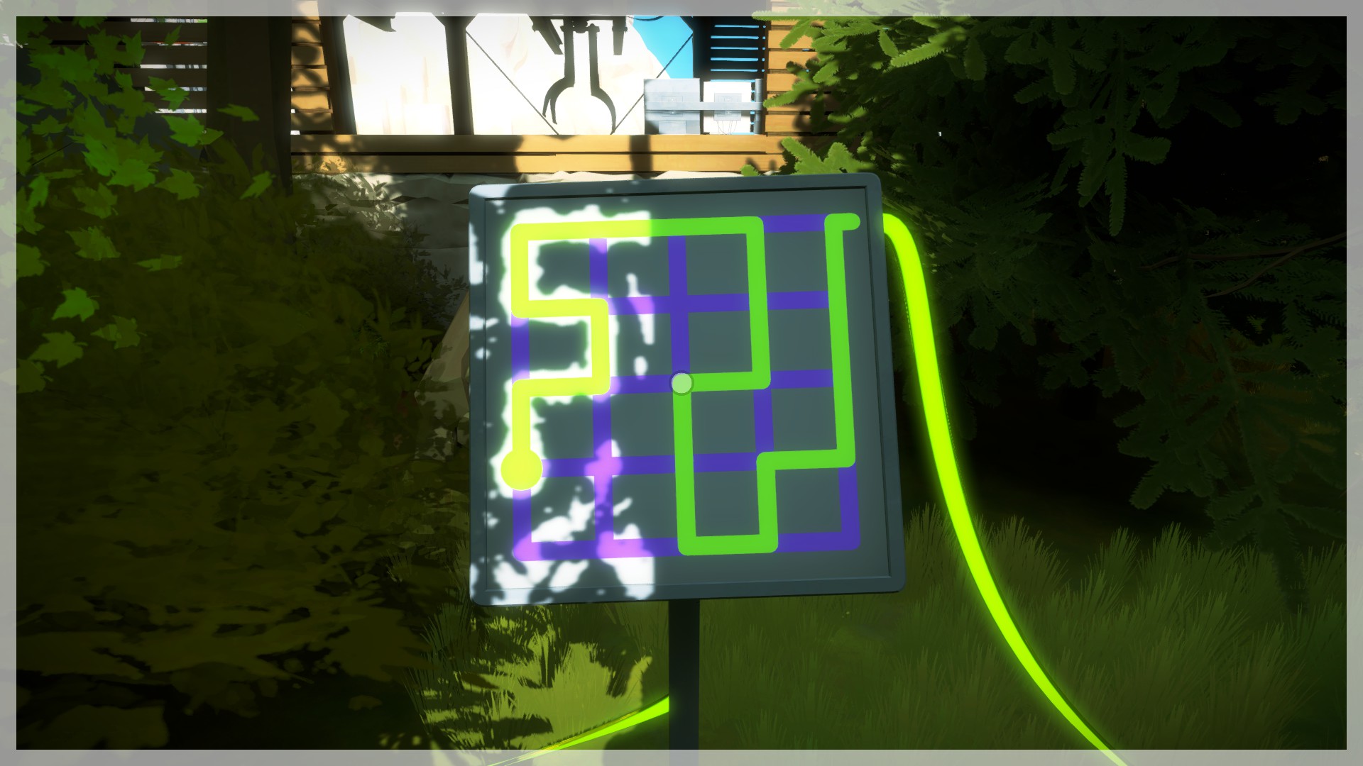 The Witness: Full Game Guide