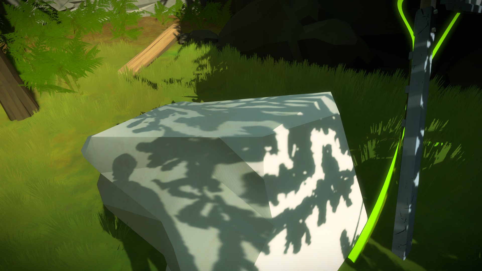 The Witness: Full Game Guide