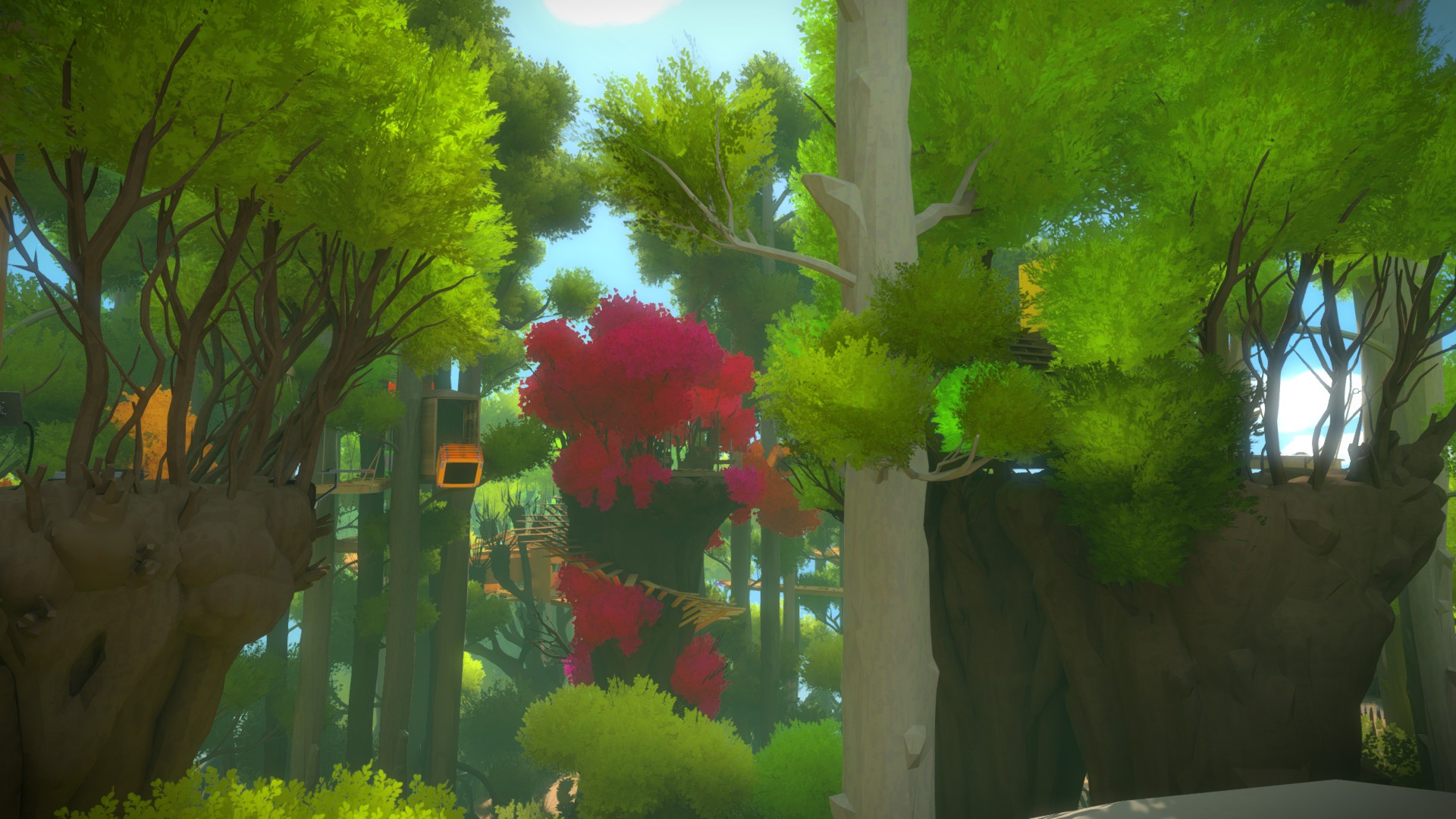 The Witness: Full Game Guide