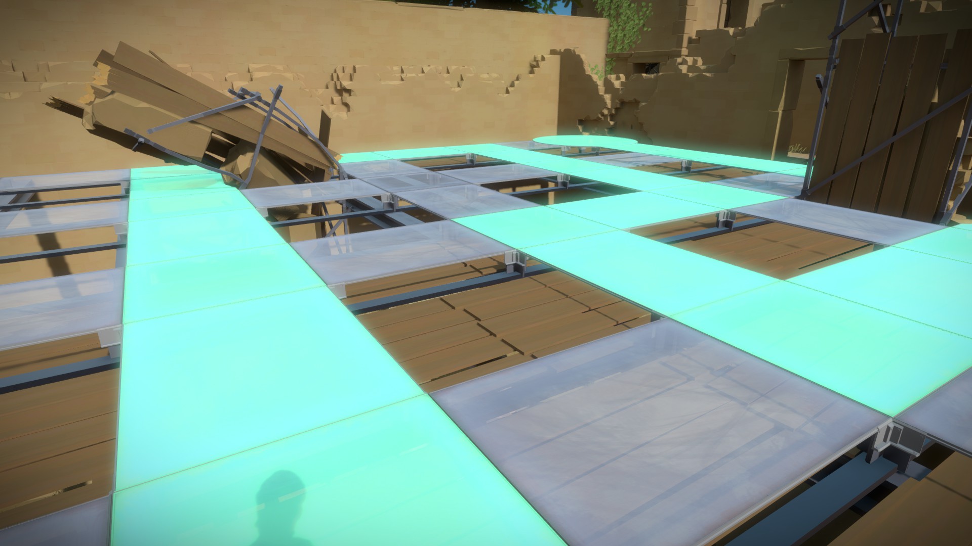 The Witness: Full Game Guide