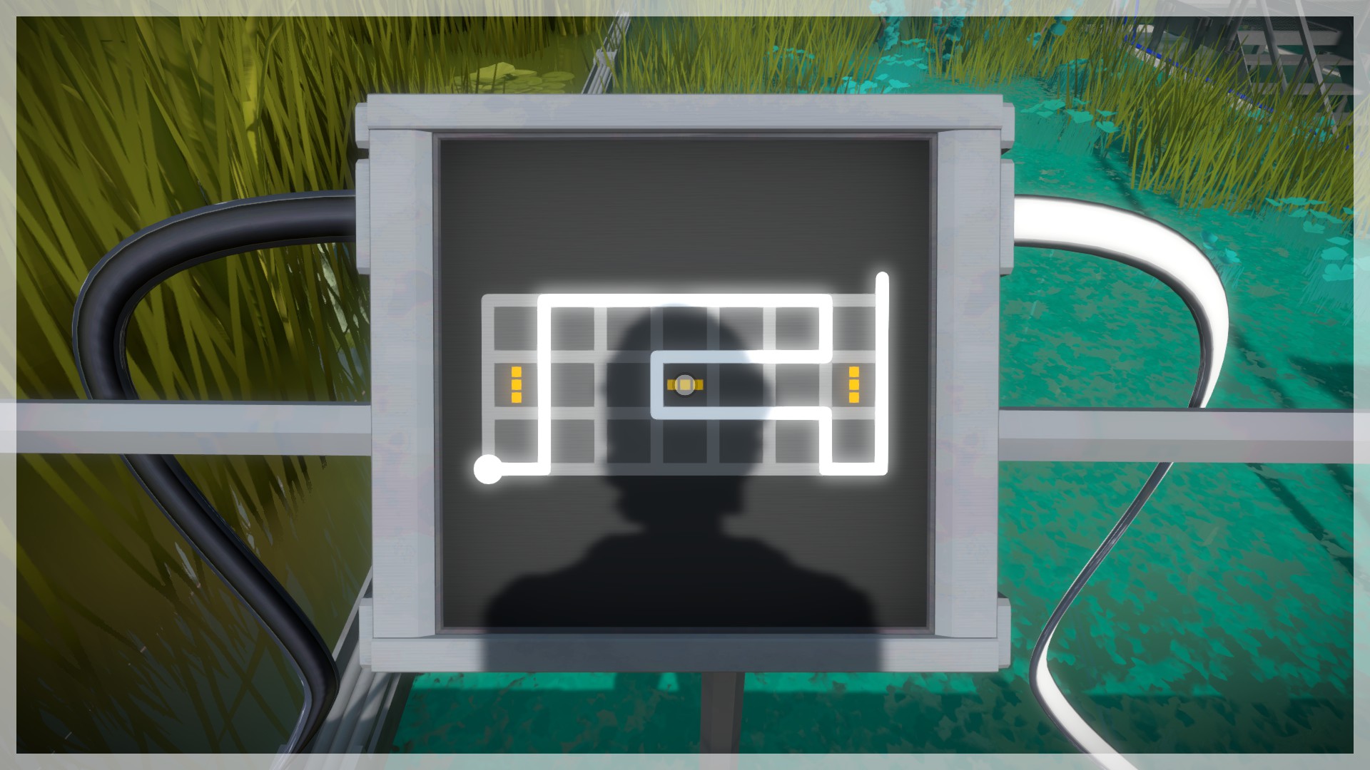 The Witness: Full Game Guide