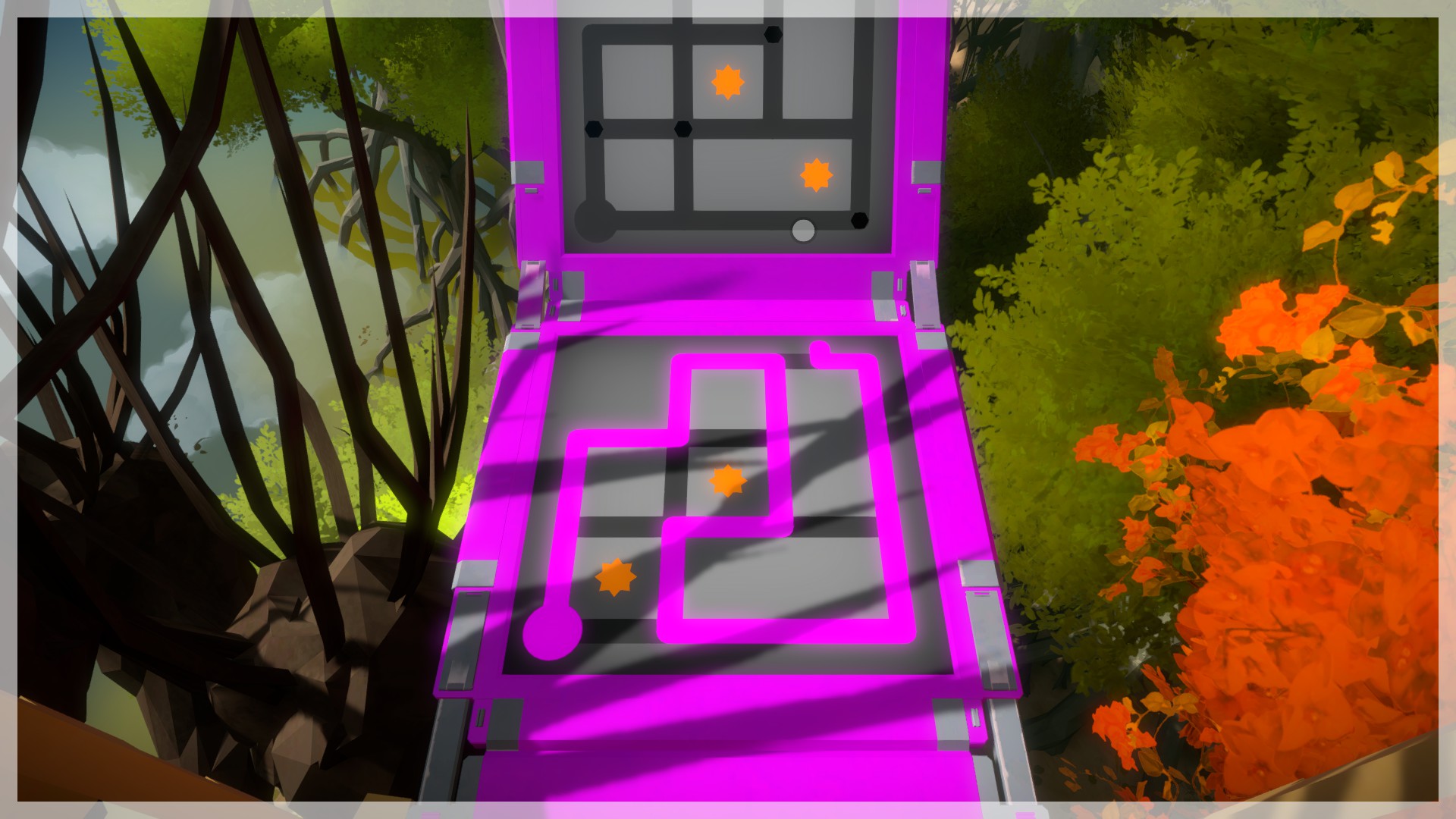 The Witness: Full Game Guide