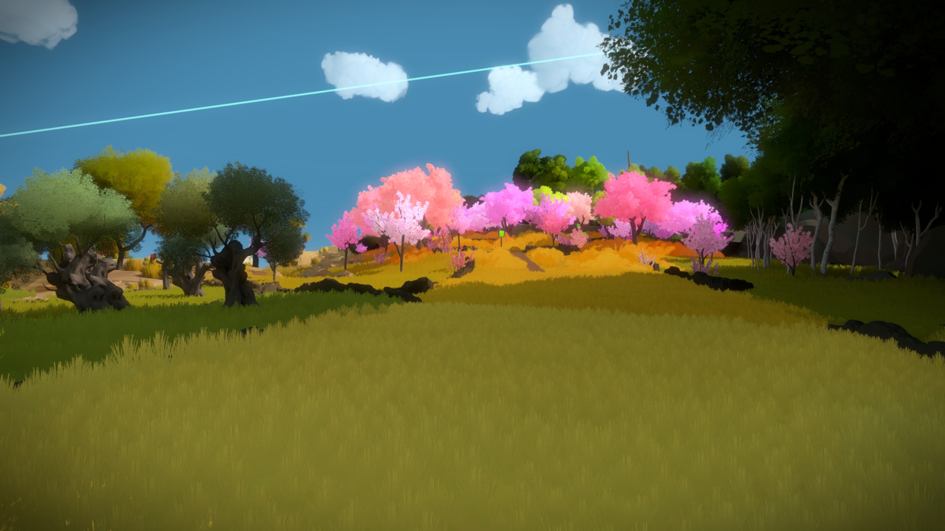 The Witness: Full Game Guide