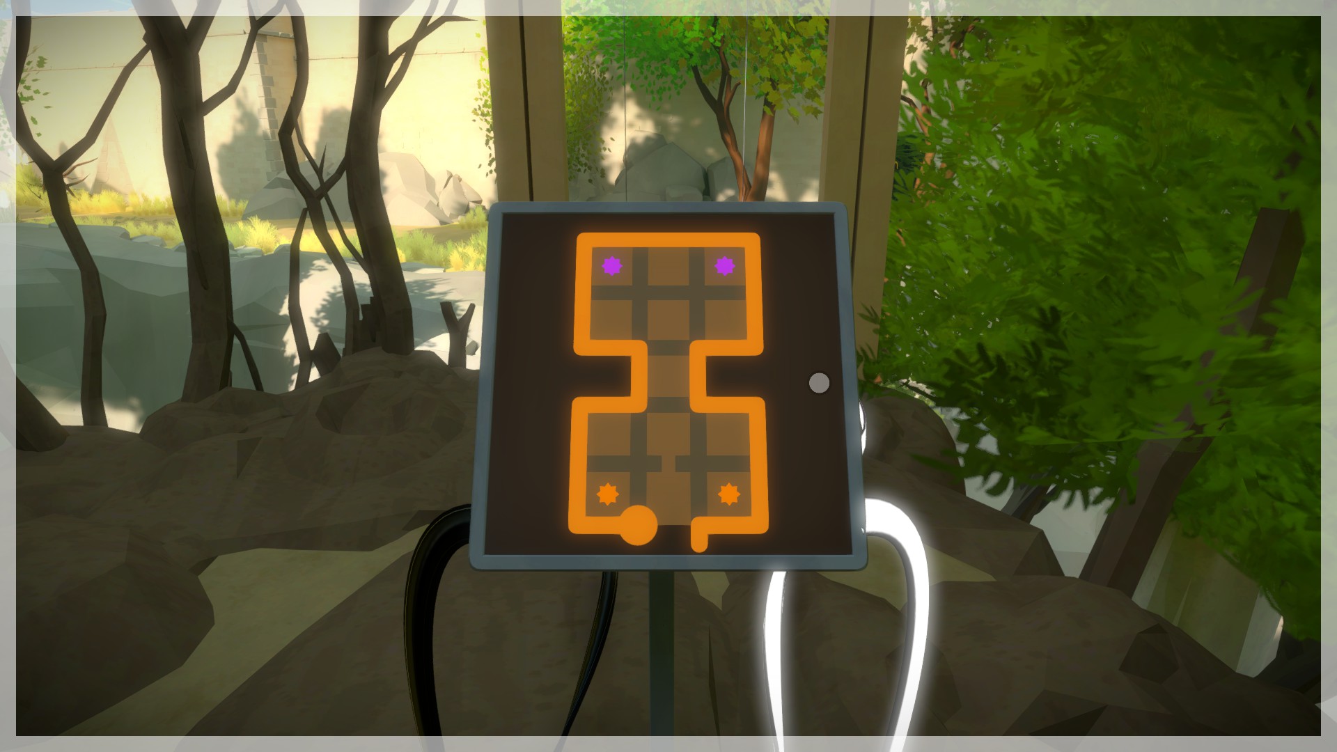 The Witness: Full Game Guide