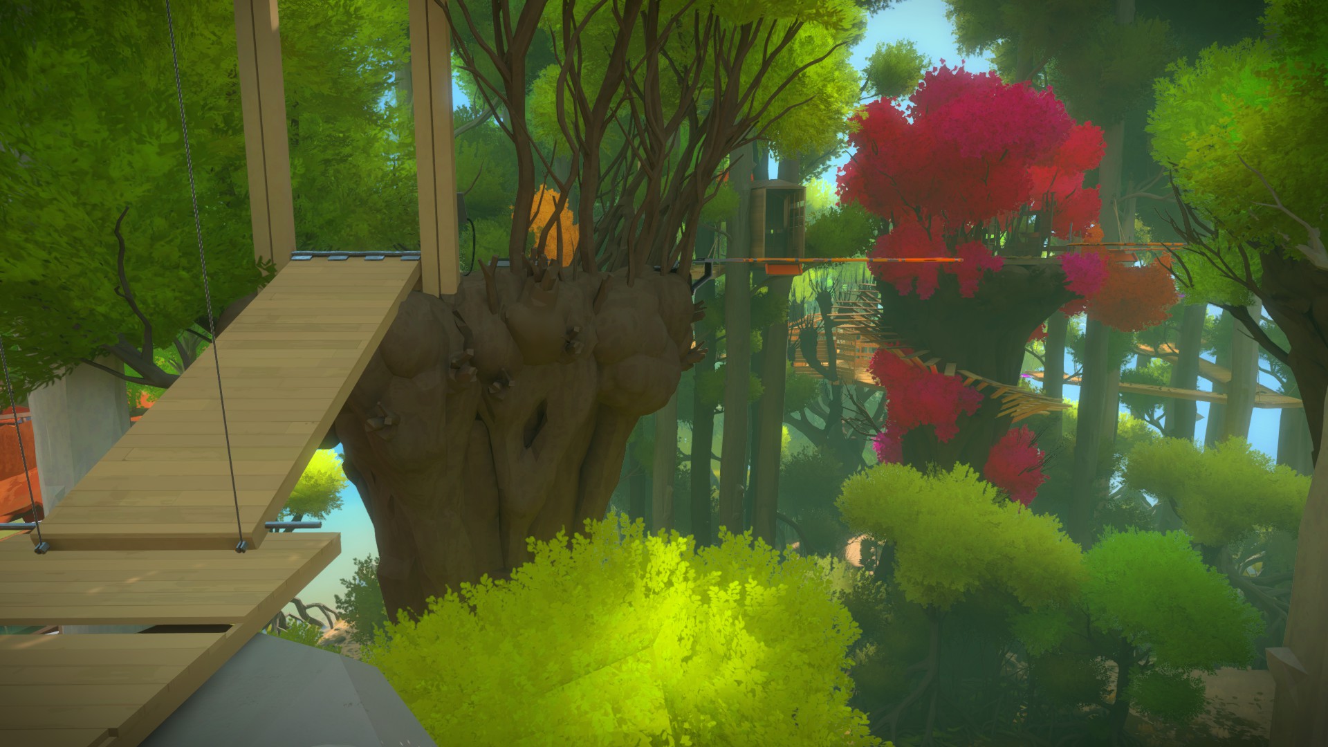 The Witness: Full Game Guide