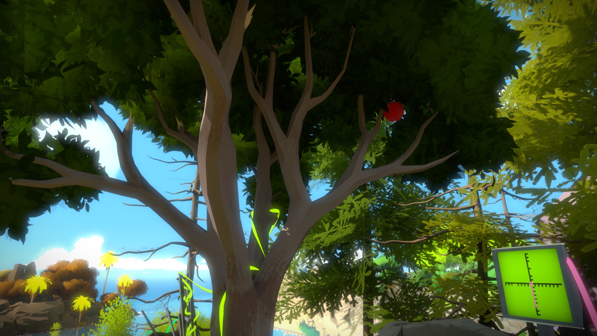 The Witness: Full Game Guide