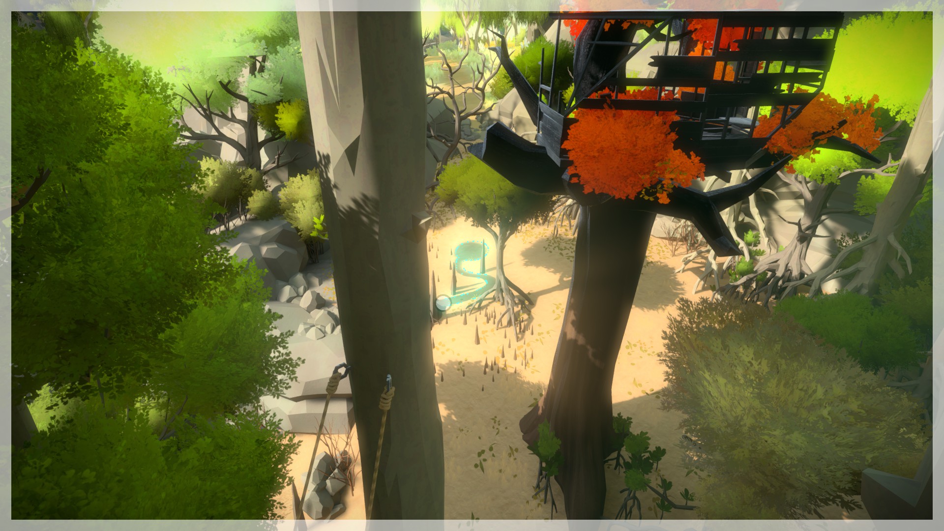 The Witness: Full Game Guide