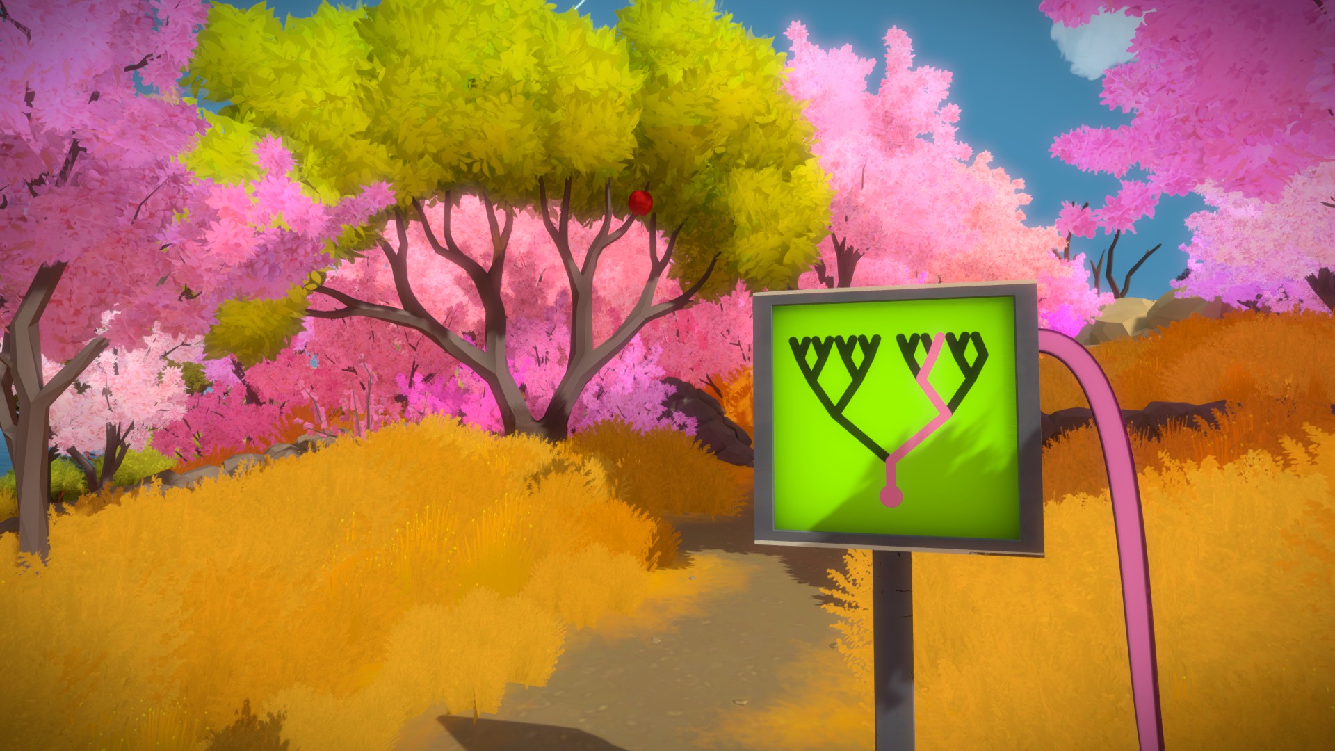 The Witness: Full Game Guide