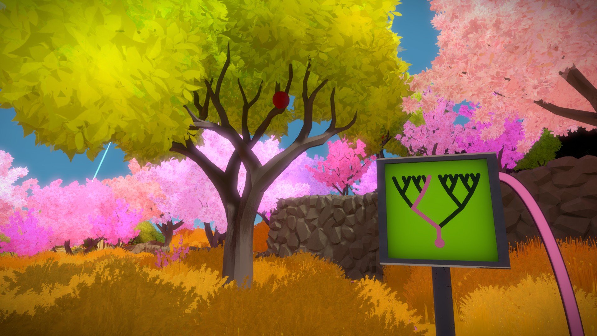 The Witness: Full Game Guide