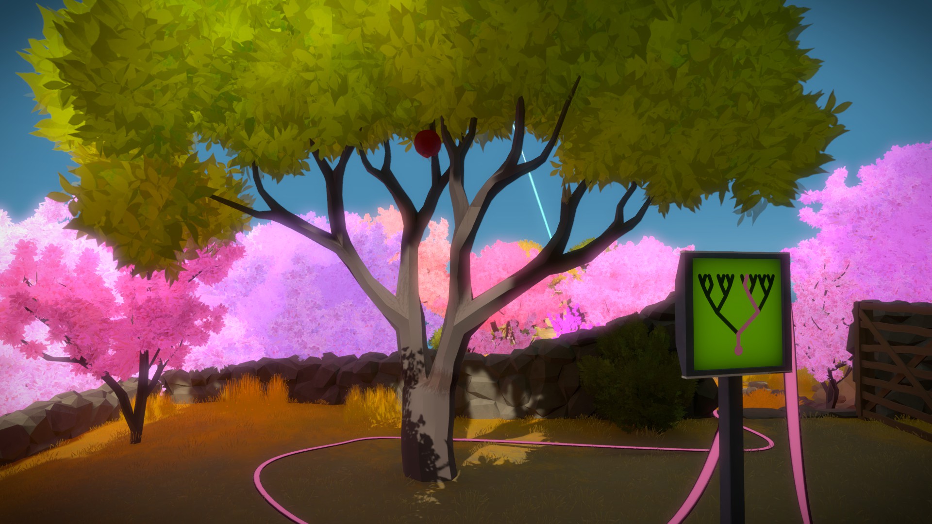 The Witness: Full Game Guide