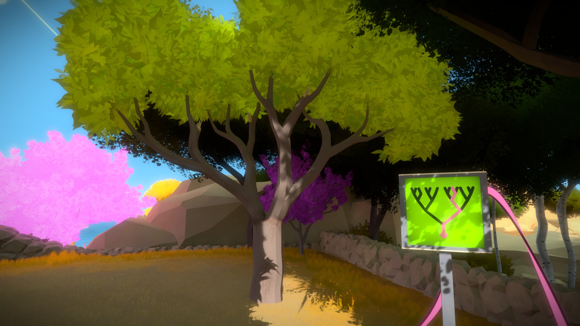 The Witness: Full Game Guide