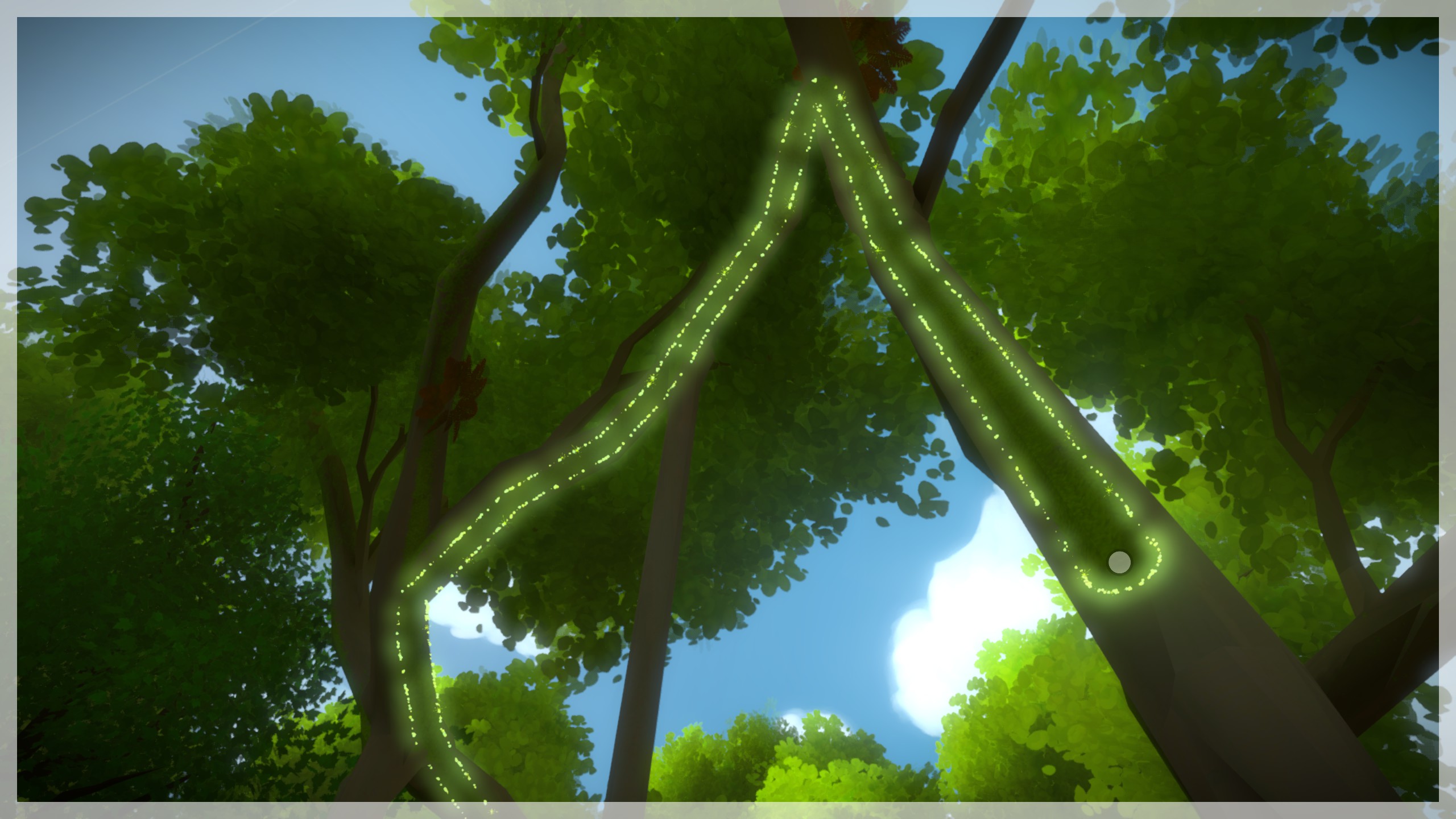 The Witness: Full Game Guide