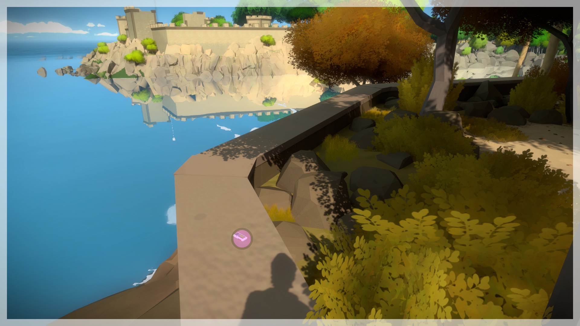 The Witness: Full Game Guide