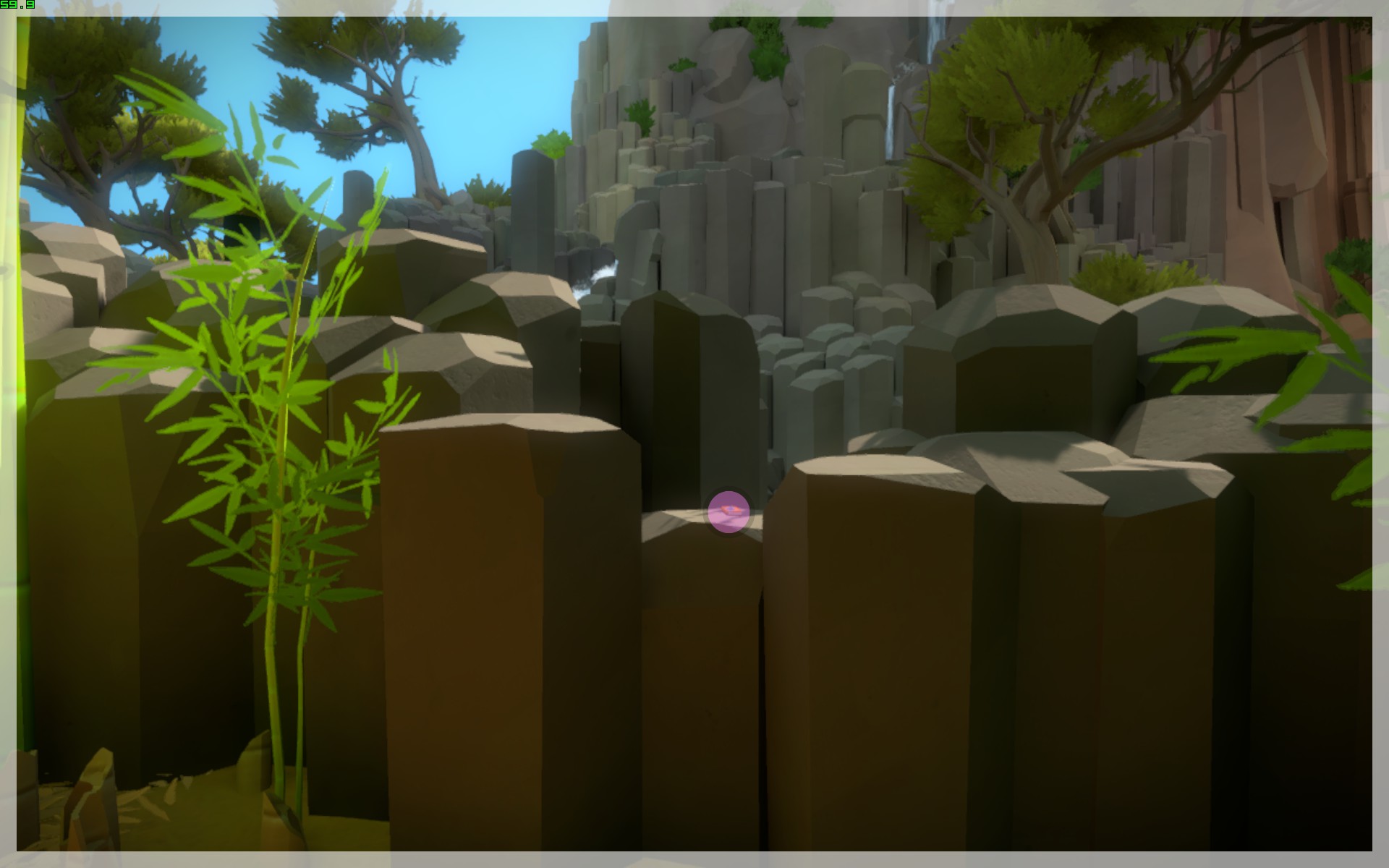 The Witness: Full Game Guide