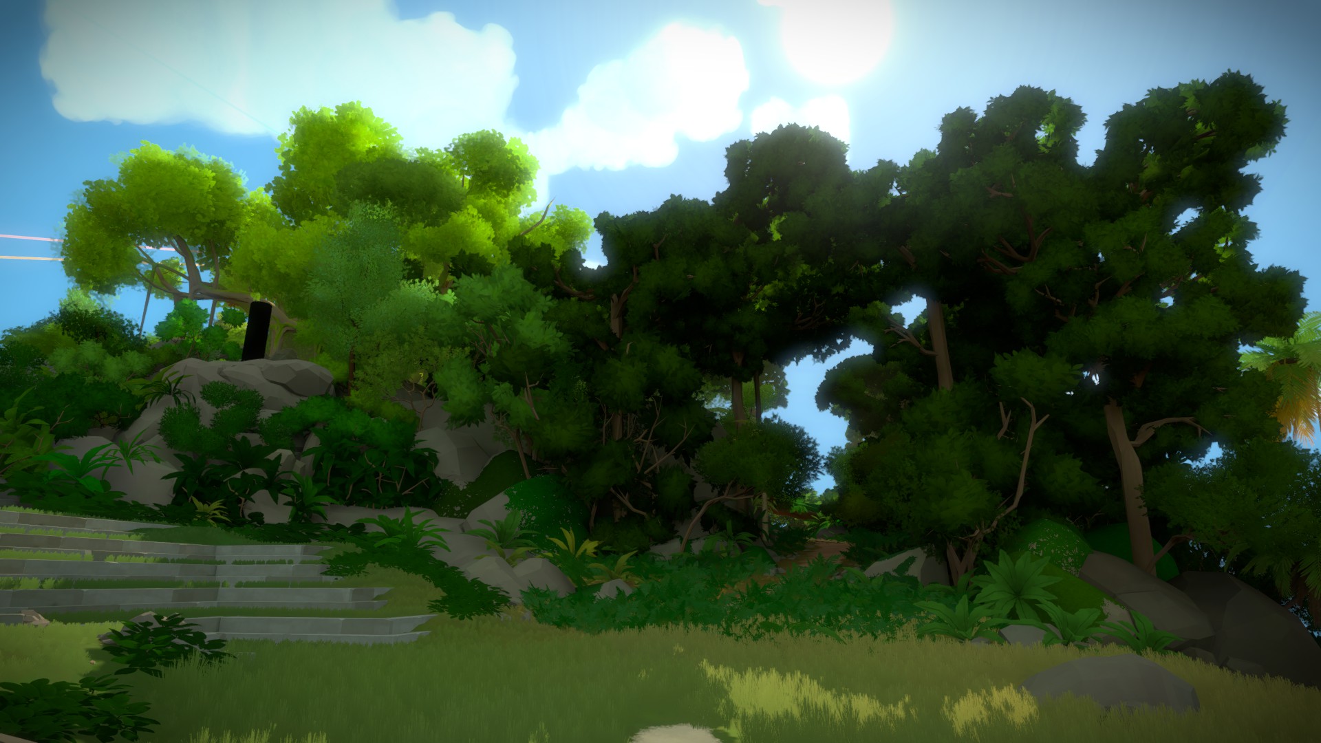 The Witness: Full Game Guide