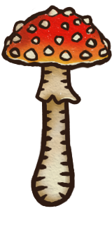 Fly Agaric