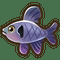 Full Fish Species Guide: All Fish & Some Fishing Tips