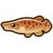 Full Fish Species Guide: All Fish & Some Fishing Tips