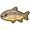 Full Fish Species Guide: All Fish & Some Fishing Tips