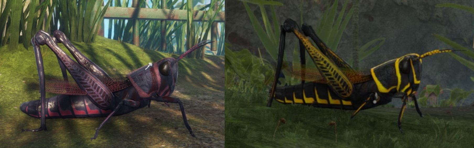 Mounts, Their Colors, and How to Get Them!