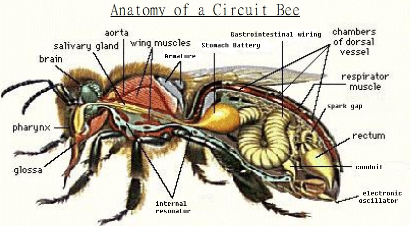 The Art of Stealing Beehives