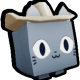 yee haw cat