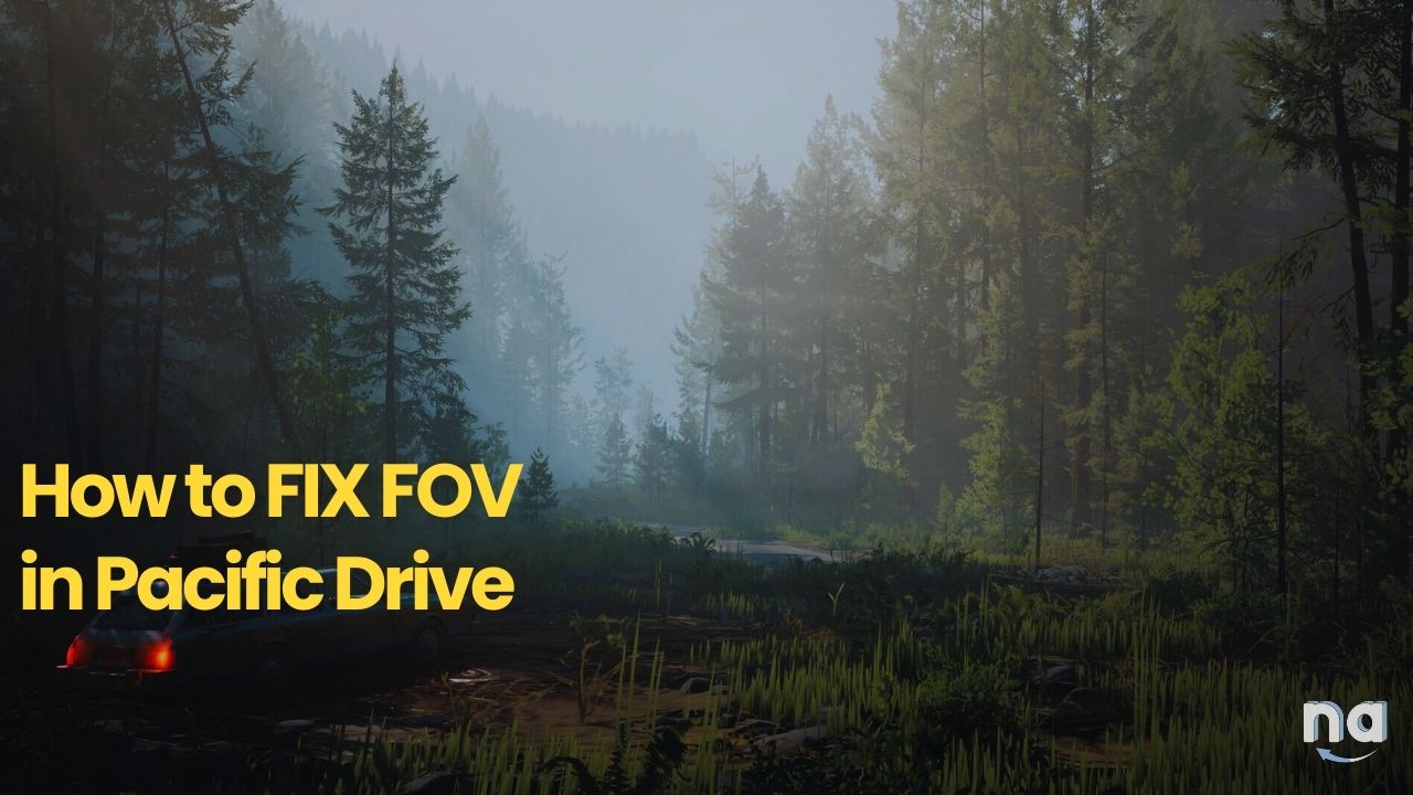 How to FIX FOV in Pacific Drive