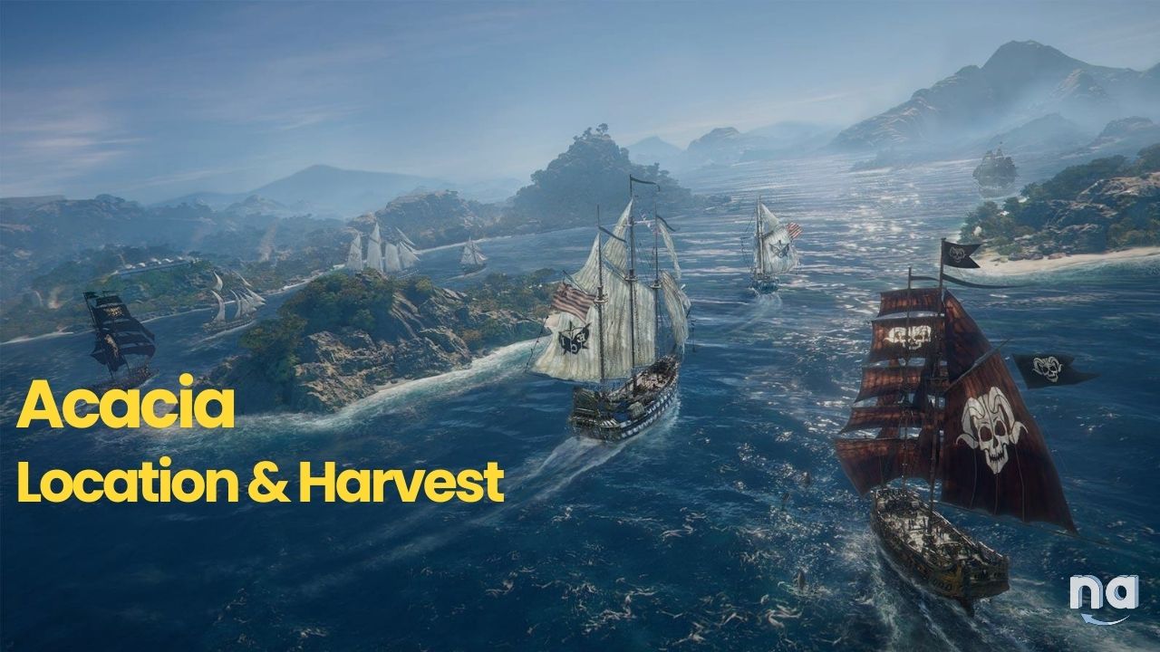 Skull and Bones Acacia Location and Harvest