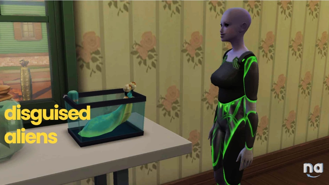 The Sims 4 Disguised Aliens Location